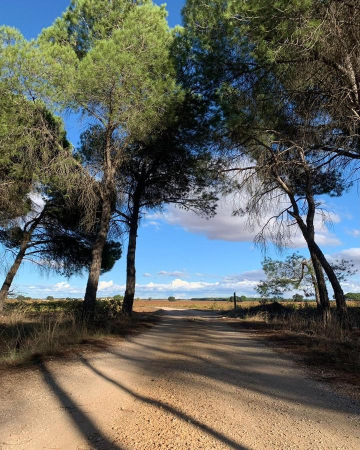Casa Rural La Navarra Вильярробледо Экстерьер фото